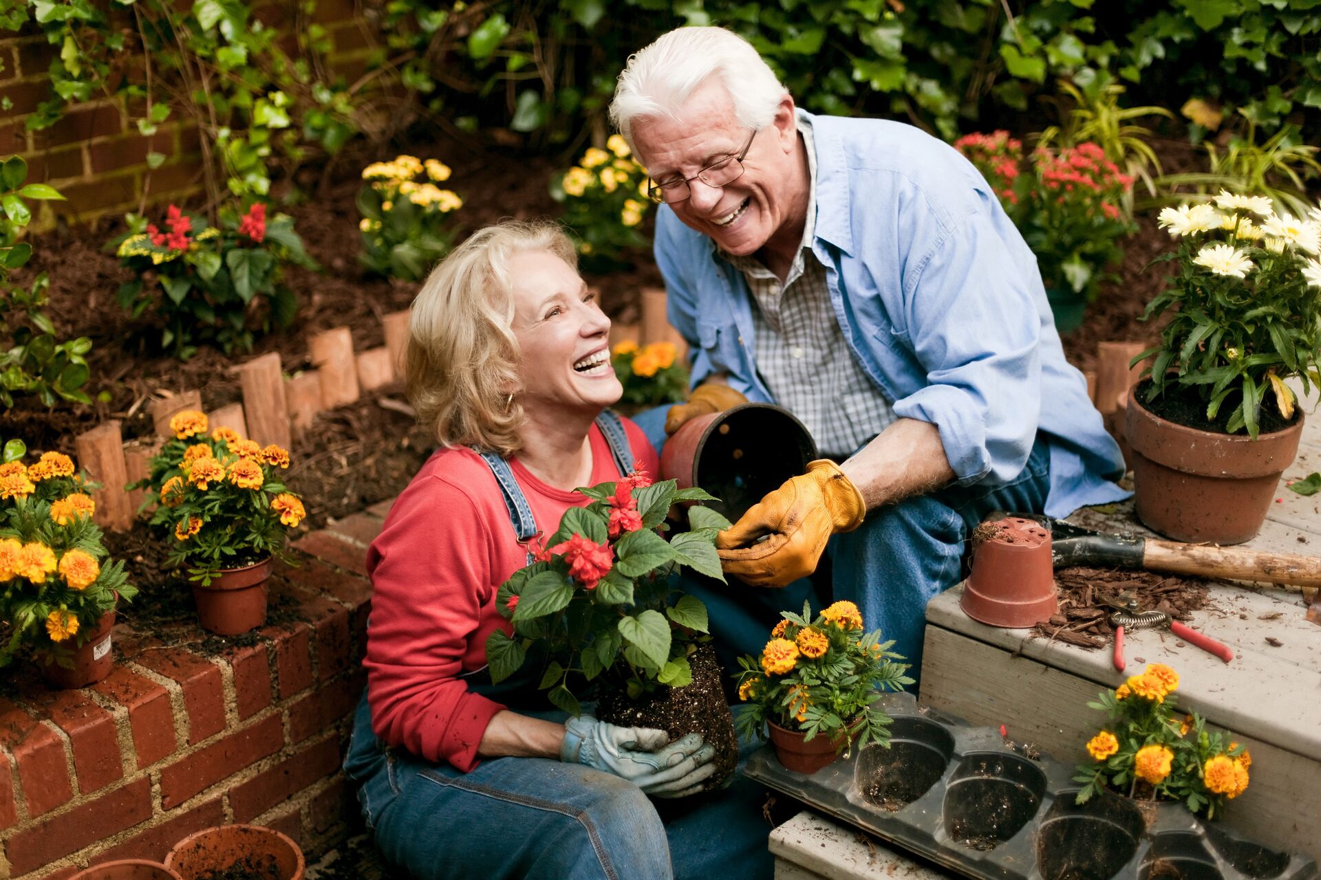 an elderly couple gardening