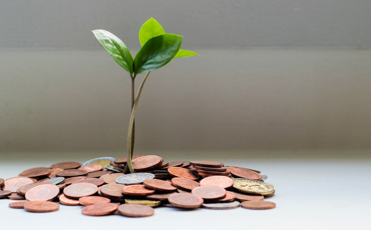 a plant sprouting out of money